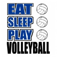 Good Volleyball Sayings Image Search Results Pictures Picture