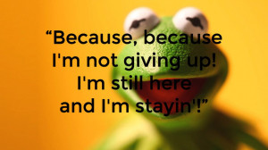 Kermit Frog Funny Quotes