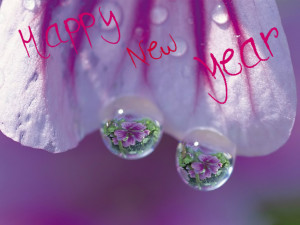 happy new year 2014 hd wallpaper, happy new year quotes