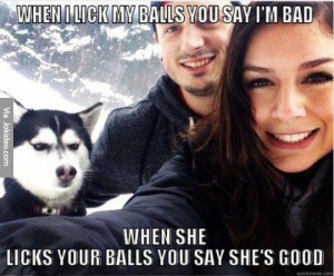 Lick my balls – dog meme