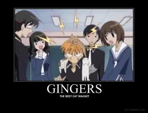 Kyo Demotivator - Gingers by CreativeCatherine