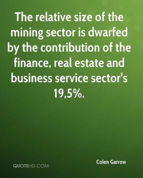 ... of the finance, real estate and business service sector's 19,5%