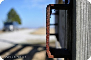 Divine Intimacy | The Littlest Way