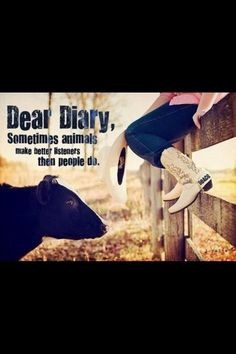 Cow sayings