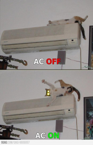 9GAG - My cat has never slept on the air conditioner again...