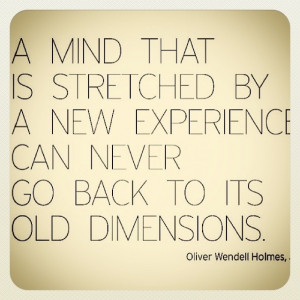mind that is stretched by a new experience