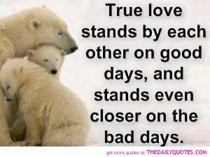 true-love-quote-cute-polarbear-picture-pics-lovely-quotes.jpg