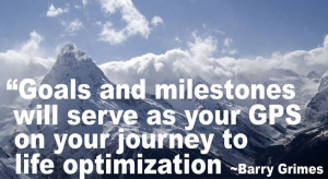 Life optimization is an ongoing process and having goals to strive for ...