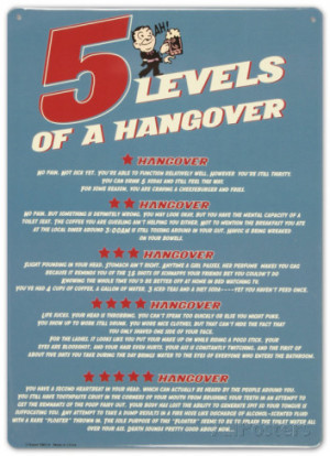Levels of a Hangover Tin Sign