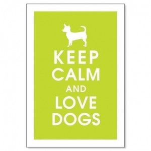 Found on dogblog.dogstuff.com