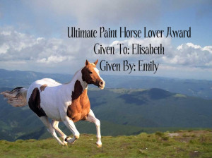 Ultimate Paint Horse Lover Award