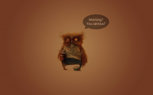 High Quality Birds Coffee Humor Quotes Funny Owls Orange wallpapers ...