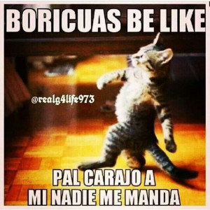 boricuas be like... boricua problems lmbo