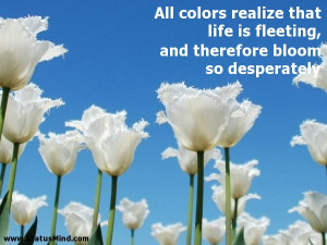 ... life is fleeting, and therefore bloom so desperately - Life Quotes