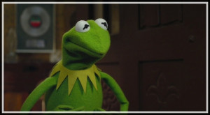 kermit the frog funny face
