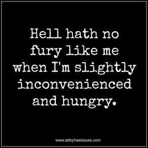 hell hath no fury like me when funny quote annoyed lol funny quotes ...