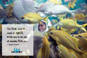 ... it net of wonder forever. Jacques Cousteau Inspirational Ocean Quotes