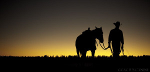 Cowboy Sunset Kwalden