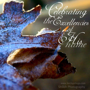 Celebrating the Excellencies of His Name -His Name is Jesus-