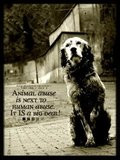 stop animal abuse quotes