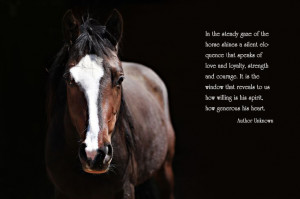 of a horse shines a silent eloquence that speaks of love and loyalty ...
