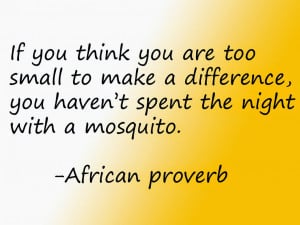African Proverbs, Quotes, Sayings And their meanings