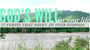 17 Verses on God’s Will for Your Life