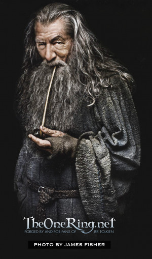 Ian McKellen as Gandalf the Grey in The Hobbit Movies