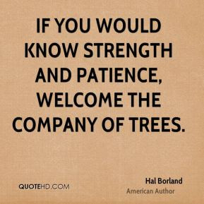 ... If you would know strength and patience, welcome the company of trees