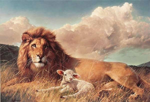 Lion and Lamb