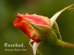 Rosebud. Citizen Kane, 1941