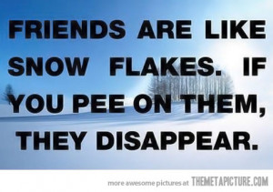 Funny photos funny friends quote snow flakes