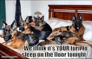 Found on Uploaded by user