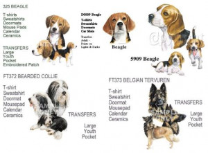 Breeds:Beagle-Belgian Tervuren