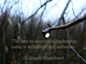 ... To Successful Leadership Is Influence,Not Authority ~ Leadership Quote