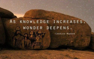 As knowledge increases, wonder deepens.
