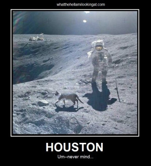 Damn cats...They can't be killed.