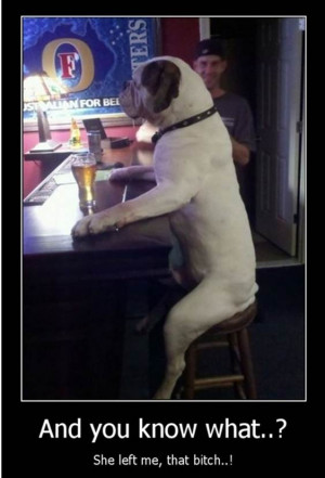 Friday Funny: A dog walks into a bar…