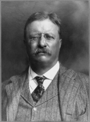 roosevelt the 26th president of the united states 1 teddy roosevelt ...
