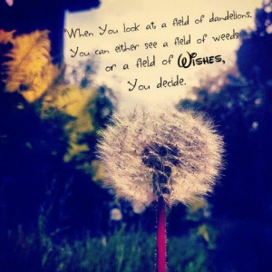 Dandelion. Quotes. Wishes. Photography.