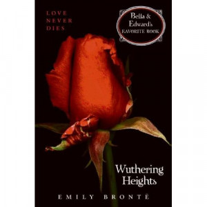 Stephenie Meyer has sparked a resurgence of interest in Emily Bronte's ...
