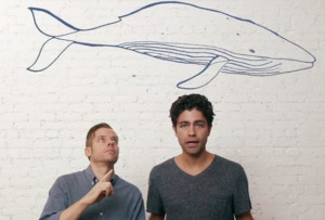 Adrian Grenier wants money to make a documentary about a lonely whale