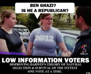 low information voters
