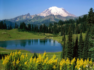 Washington State Nature