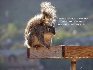 Squirrels with Quotes