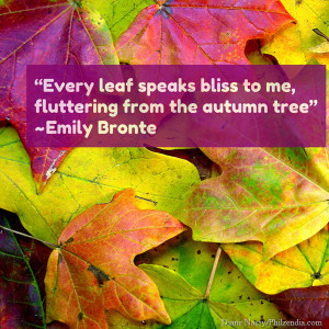... to me, fluttering from the autumn tree” Emily Bronte quotes2 (1