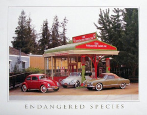Endangered Species Volkswagen-VW Classics Art Print Poster (16x20)