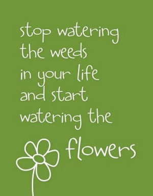 Stop watering the weeds in your life and start watering the flowers.