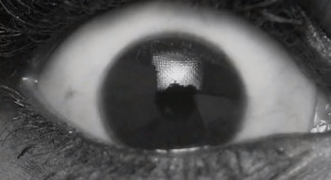 Azealia Banks Gets Interactive in ‘Wallace’ Video
