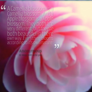 Quotes Picture: a camellia blossom is a camellia blossom and a apple ...